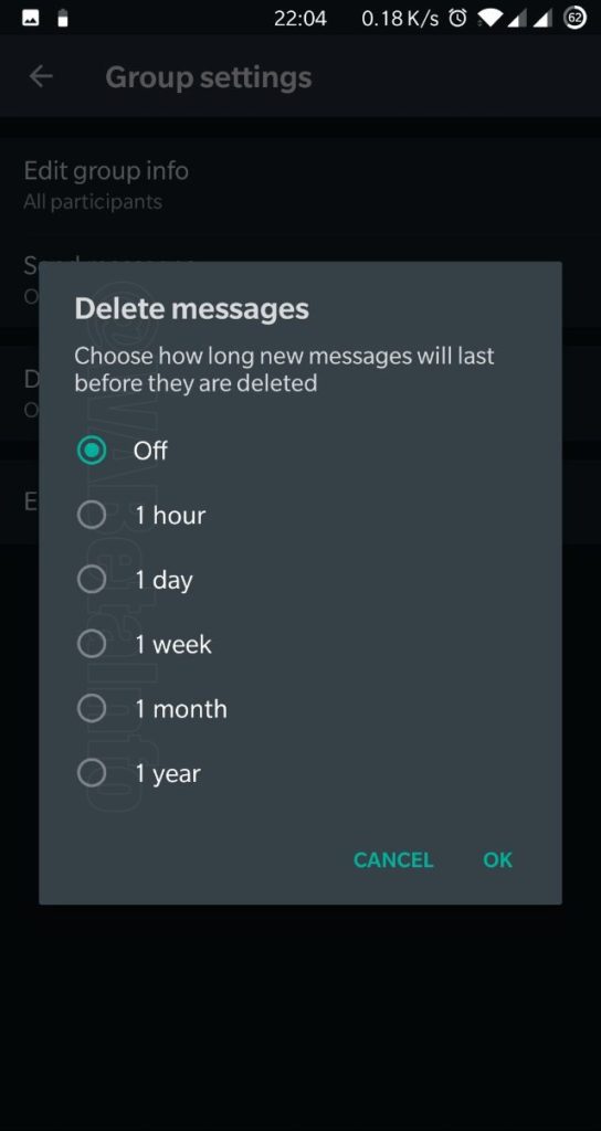 Send Risky Messages With Self Destruct Message WhatsApp Feature