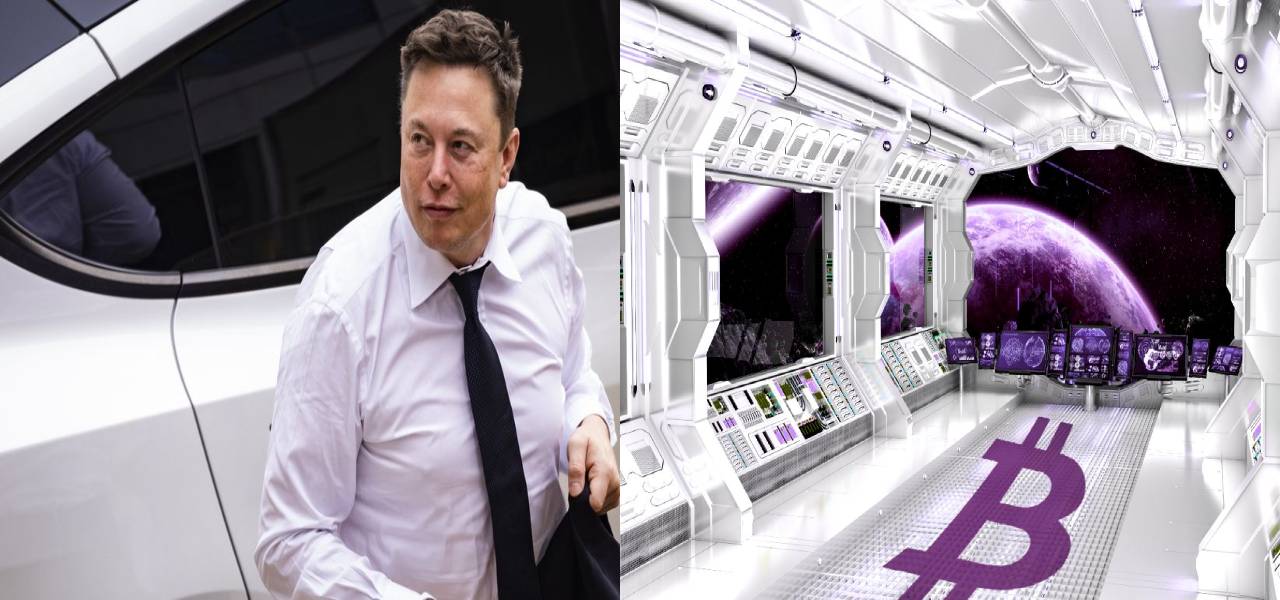 He Owns It All Elon Musk Holds Space X Tesla Bitcoin