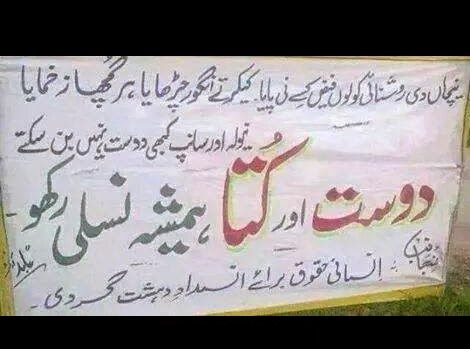 21 Totally Inappropriate Shop Signs You Will Only Find In Pakistan