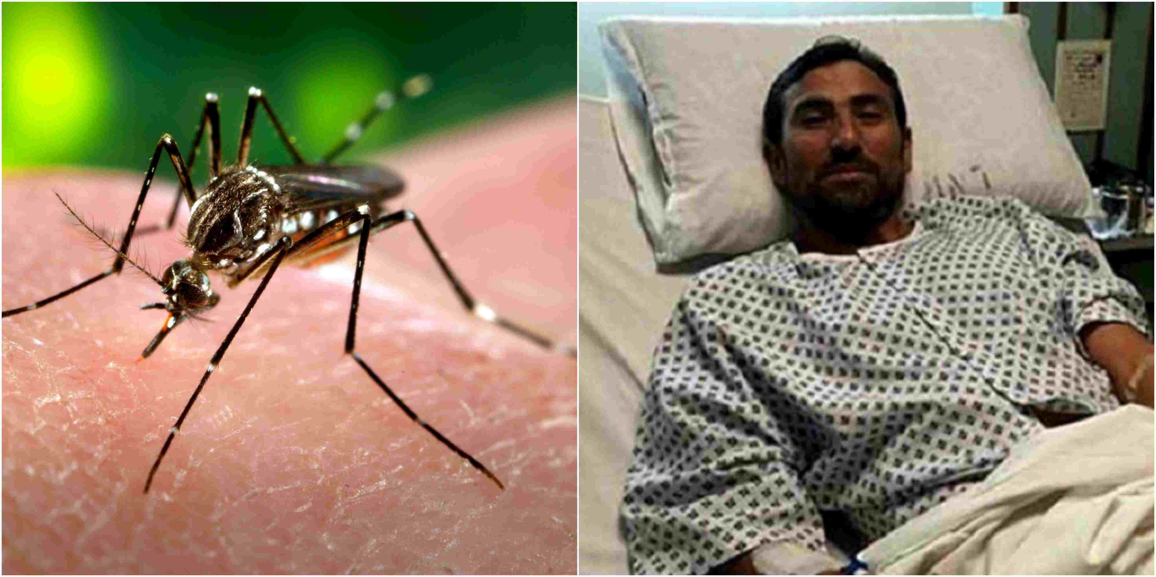 people-living-in-pakistan-are-more-likely-to-suffer-from-dengue-fever