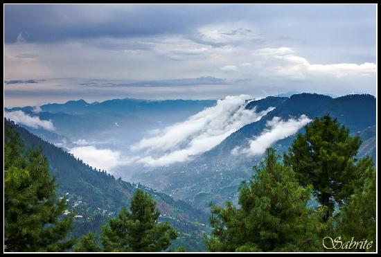 These Luxurious Camping Pods For Vacations In Nathia Gali Are ...