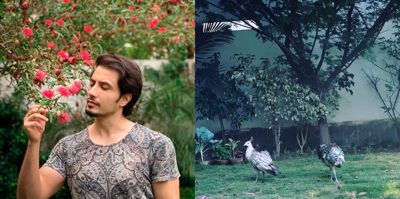 Have You Been To Ali Zafar’s House? Let Us Give You A Small Tour