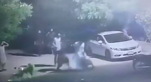 WATCH: Pet Lion Attacks A Minor Boy In Karachi - Why The Wild Animal ...