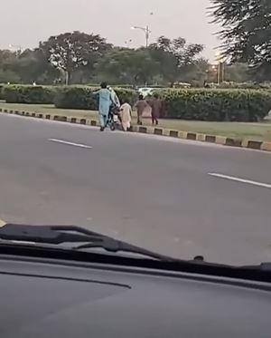 WATCH: Pakistani Man Teaches Wife How To Ride A Motorbike While Proud ...