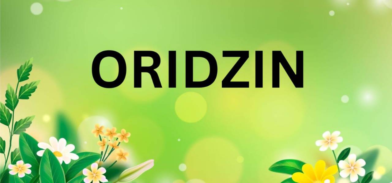 Oridzin: Unleashing the Future of Innovative Technology